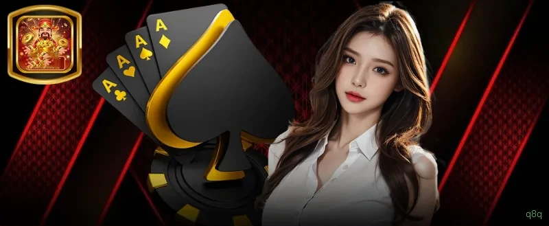 Download app q8q Android iOS