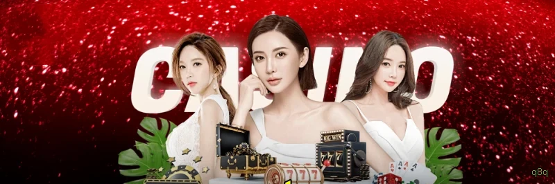 Registro q8q - cadastro rápido